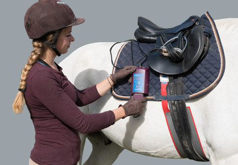 pliance® pressure between saddle and horse